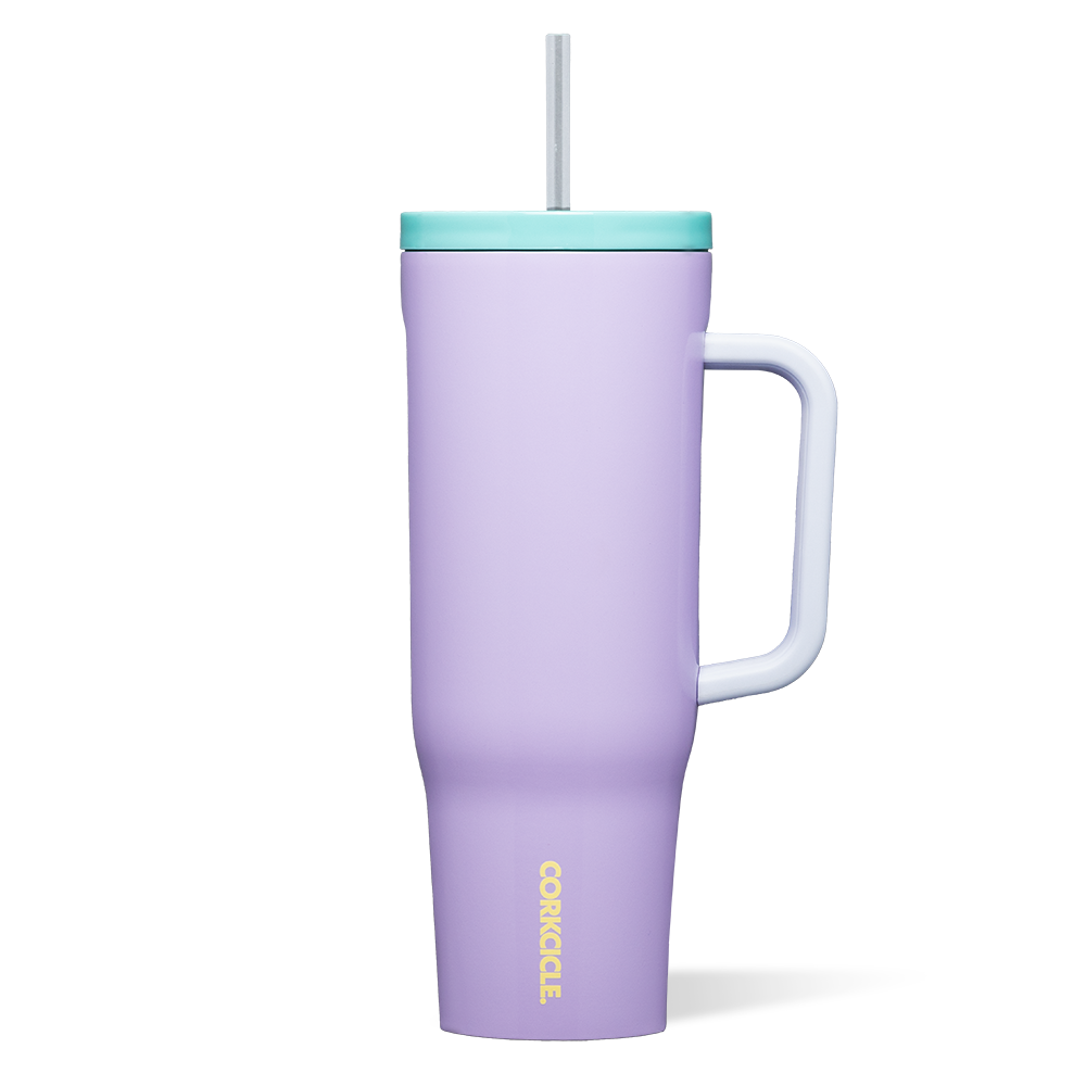 cruiser-e1 2240PURPLEDOLPHIN-1.png