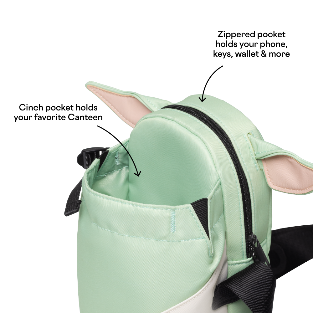 disney-sling-j9 53593b3e49e2--Sling-PDP-4.png