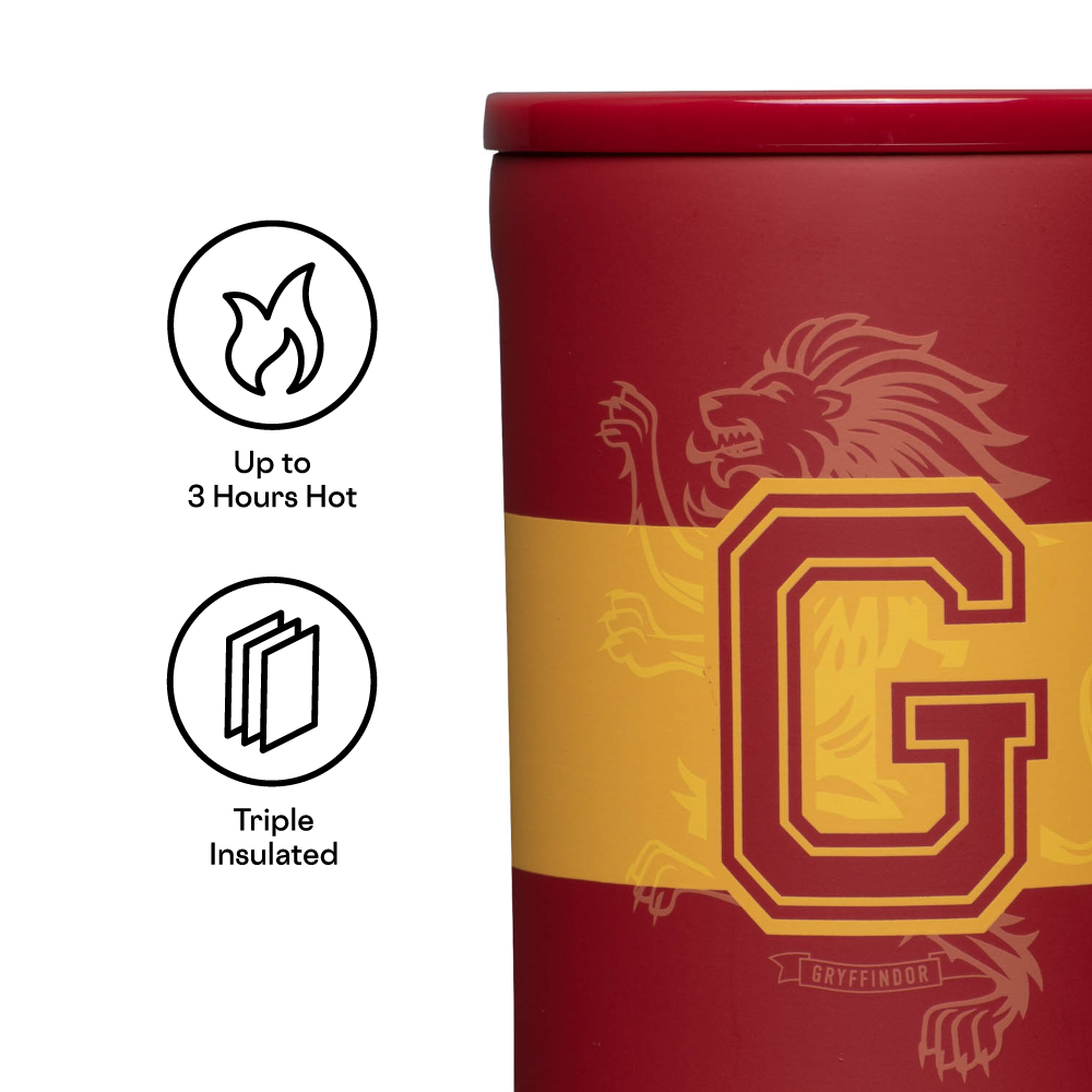 harry-potter-coffee-mug-w6 764e2ad461cd--HP2516-GRY-TFB.png