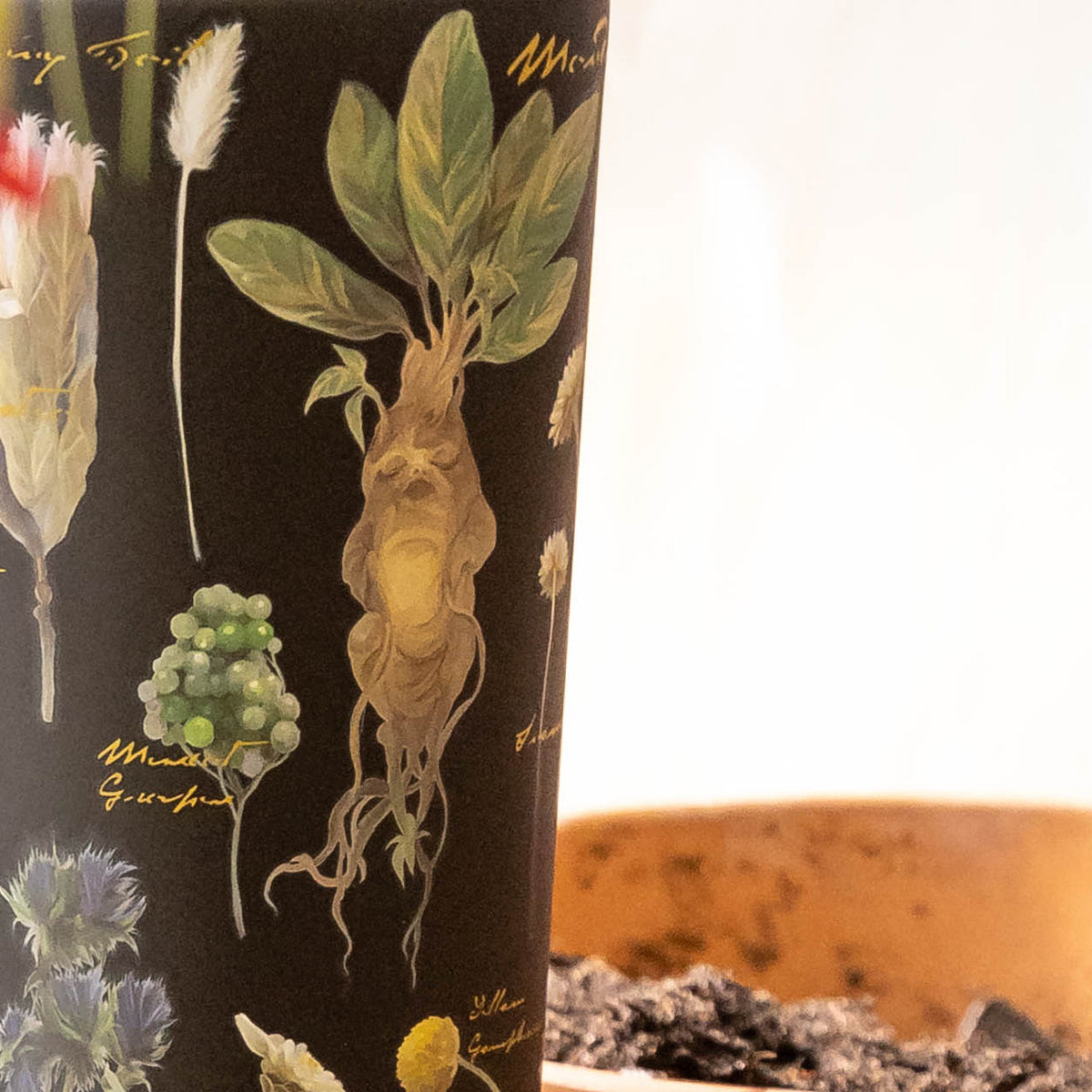 harry-potter-cold-cup-o6 Herbology-3.jpg