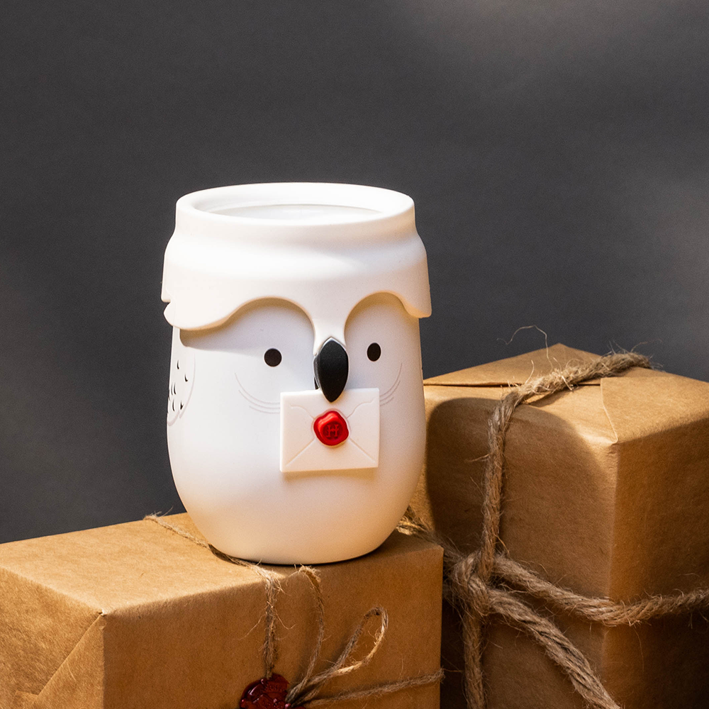harry-potter-stemless-e5 da329e4f7c5d--Hedwig-Lifestyle-3.png